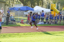 Enlarge photo 321
