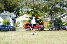 Enlarge photo 217