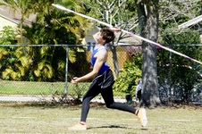 Enlarge photo 233