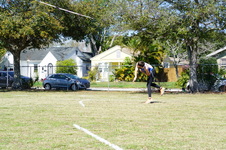 Enlarge photo 245