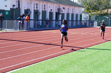 Enlarge photo 488