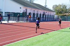 Enlarge photo 490