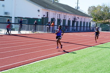 Enlarge photo 491
