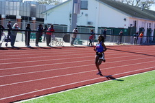 Enlarge photo 492