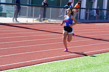 Enlarge photo 495
