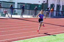 Enlarge photo 498