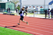 Enlarge photo 549