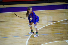 Enlarge photo 316