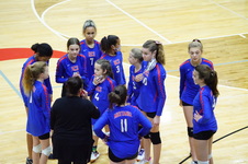 Enlarge photo 432