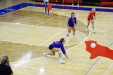 Enlarge photo 95