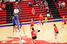Enlarge photo 268