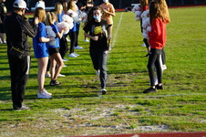 Enlarge photo 153