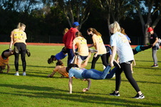 Enlarge photo 306