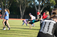 Enlarge photo 308