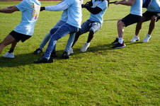 Enlarge photo 338