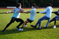 Enlarge photo 339