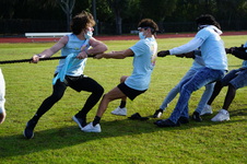 Enlarge photo 340
