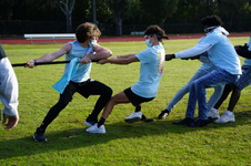 Enlarge photo 341