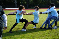 Enlarge photo 342