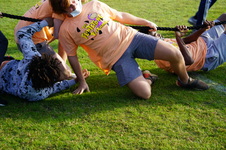 Enlarge photo 355