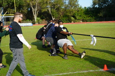 Enlarge photo 390