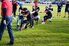 Enlarge photo 217