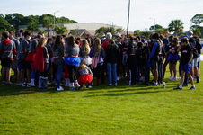 Enlarge photo 232