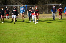 Enlarge photo 238