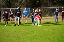 Enlarge photo 237