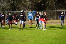 Enlarge photo 239