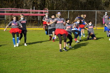 Enlarge photo 255