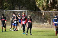 Enlarge photo 260