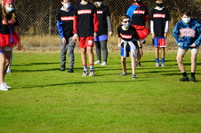 Enlarge photo 263