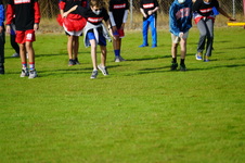 Enlarge photo 282