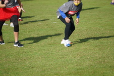 Enlarge photo 297