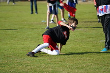 Enlarge photo 325