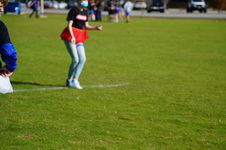 Enlarge photo 376