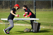 Enlarge photo 473