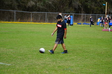 Enlarge photo 532