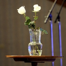 Enlarge photo 147