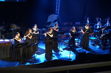 Enlarge photo 246