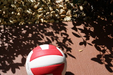 Enlarge photo 21