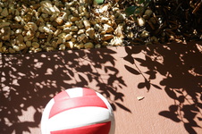 Enlarge photo 23