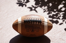 Enlarge photo 41