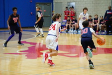 Enlarge photo 349