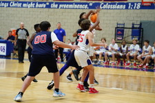 Enlarge photo 393