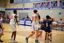 Enlarge photo 262