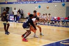 Enlarge photo 555