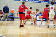 Enlarge photo 96