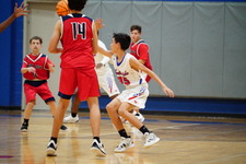 Enlarge photo 273